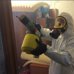 Уничтожение клопов в квартире. Братеево